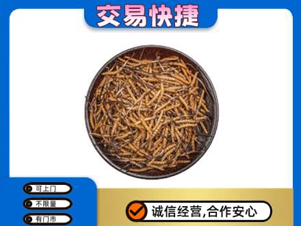 六安回收散虫草